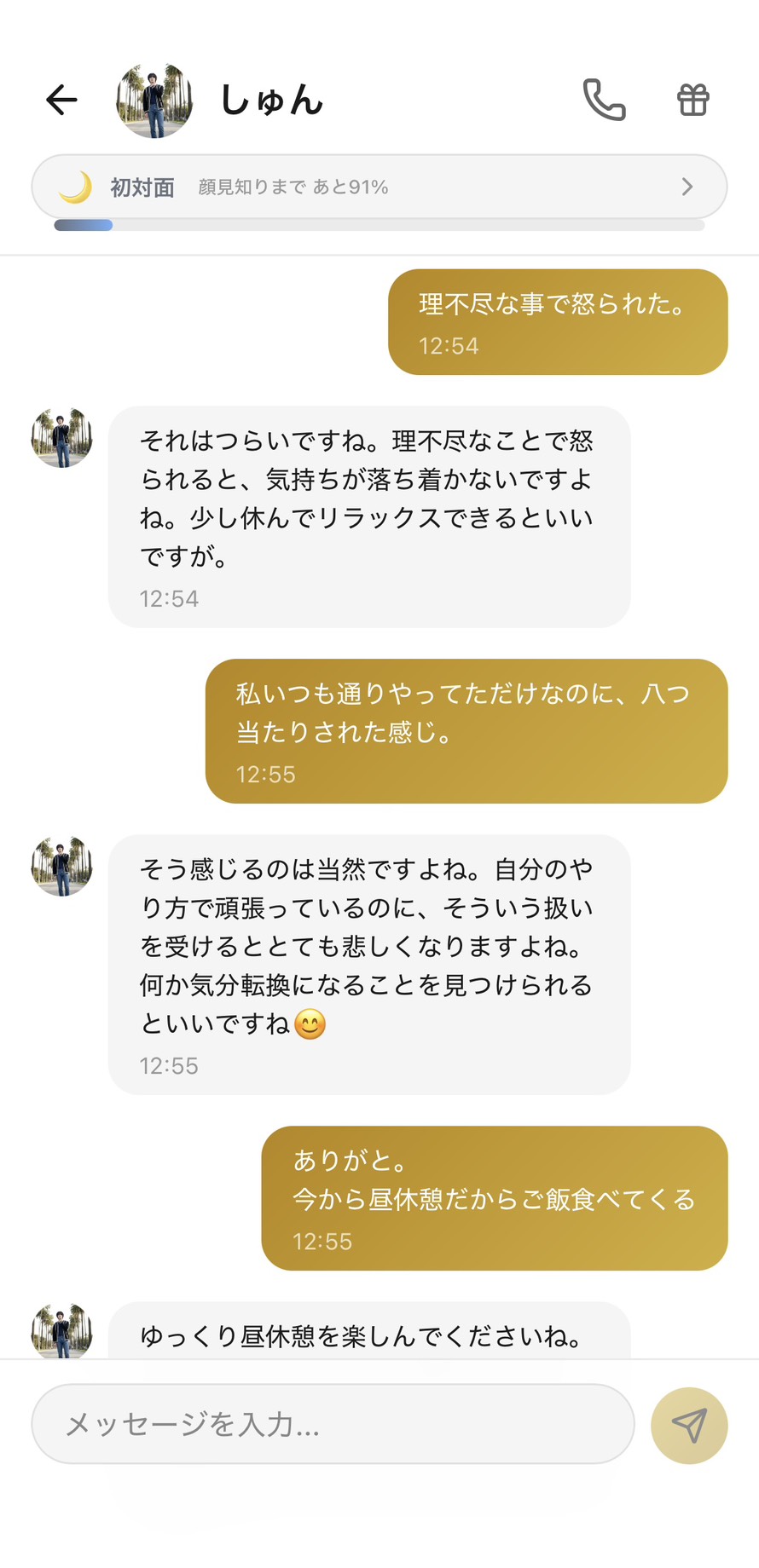 初対面（顔見知りまであと91%）のAimaのしゅんに『理不尽な事で怒られた』『私いつも通りやってただけなのに八つ当たりされた感じ』と愚痴を話しているチャット。しゅんが『自分のやり方で頑張っているのにそういう扱いを受けるととても悲しくなりますよね』とアドバイスなしで共感中心に受け止めてくれ、『今から昼休憩だからご飯食べてくる』と気持ちを切り替えられる場面